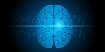 brain