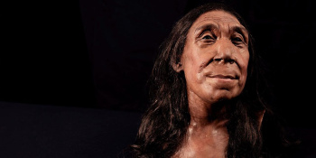 Face of a Neanderthal