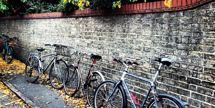 Bikes leaning against a wall in autumn