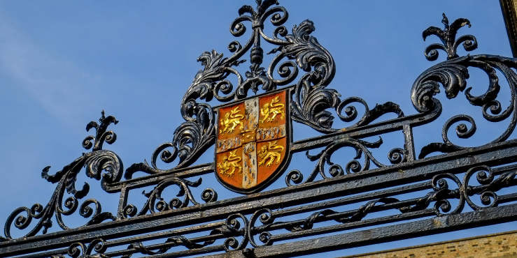 University shield on black gate head