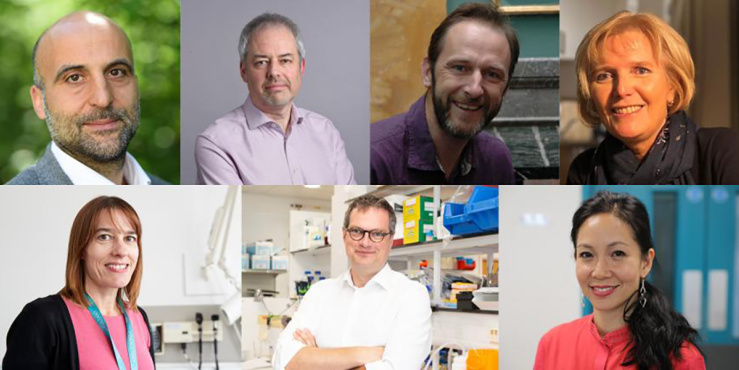Cambridge researchers elected to Academy of Medical Sciences Fellowship 2023