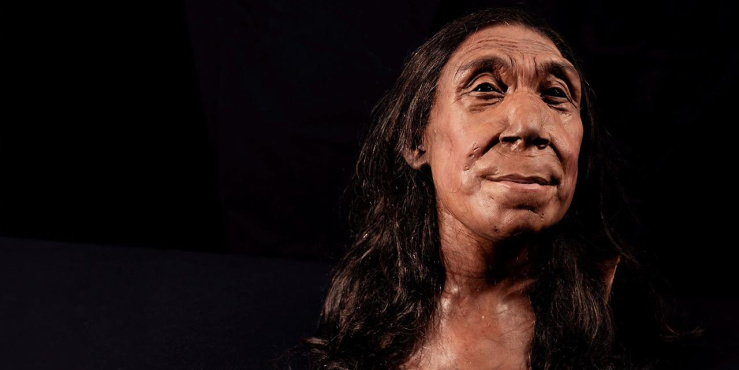 Face of a Neanderthal