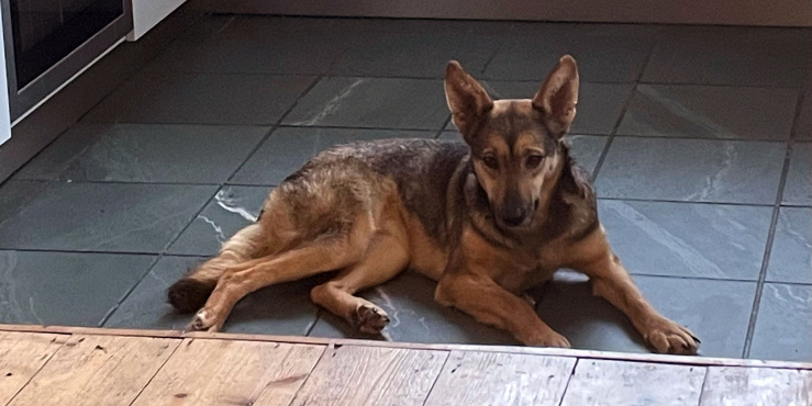 sophie from romania