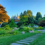 Photo of Mt Auburn Cemetery