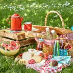 Picnic food and grass