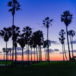 Sunset at venice beach