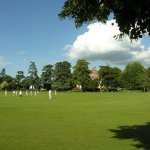 Green cricket pitch with cricketers in dressed in cricket whites