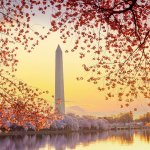 dc