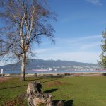 Jericho Beach Park trees and water
