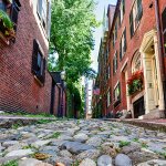 photo of book cover and acorn street
