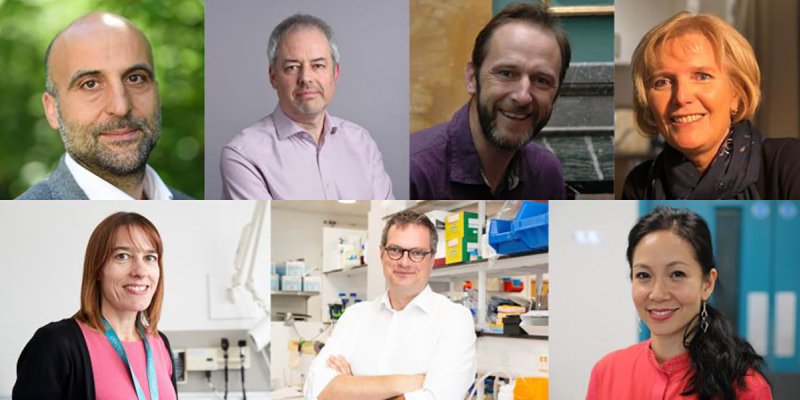 Cambridge researchers elected to Academy of Medical Sciences Fellowship 2023