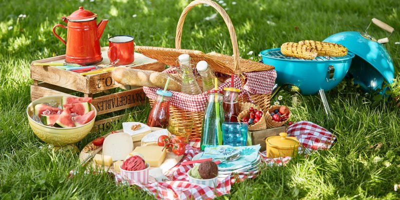 Picnic food and grass