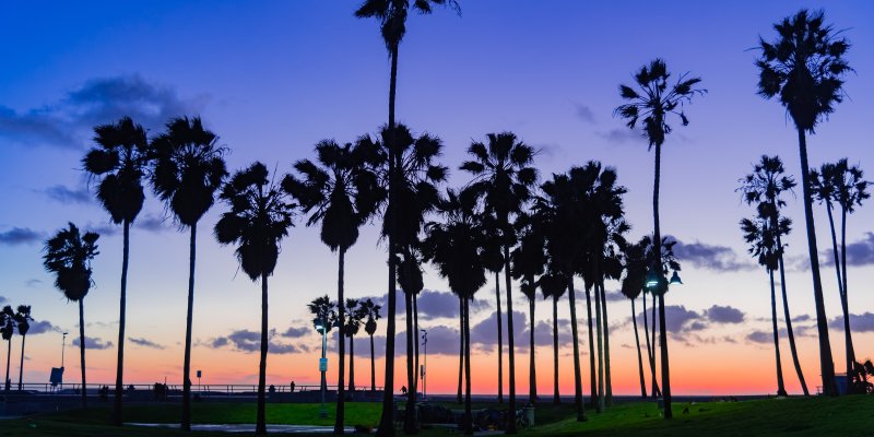 Sunset at venice beach