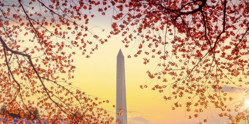 photo of washington dc
