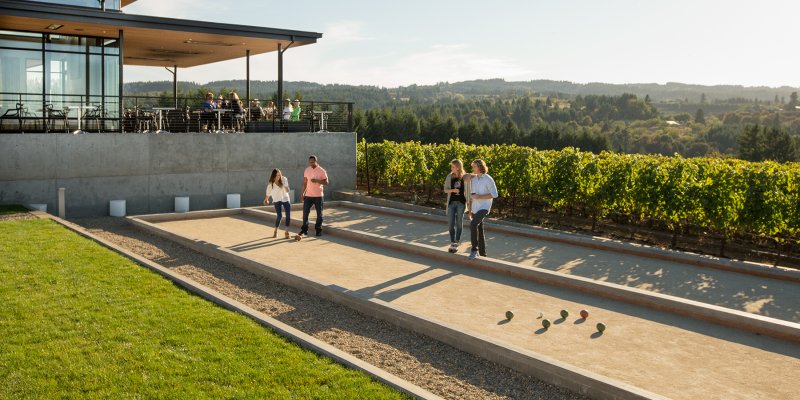 Ponzi Vineyard