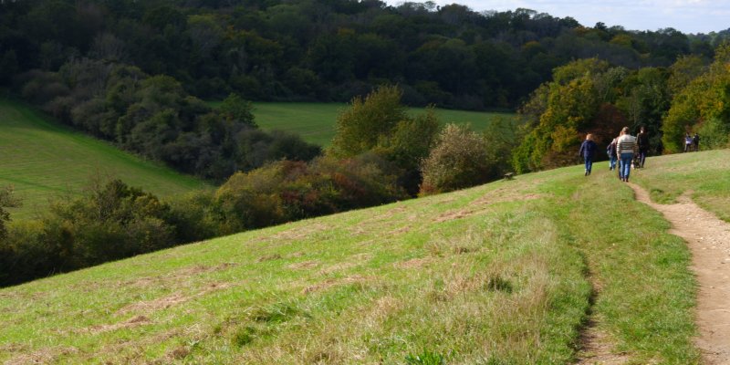 Rolling green hills and people walking