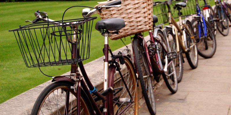 Row of bicycles