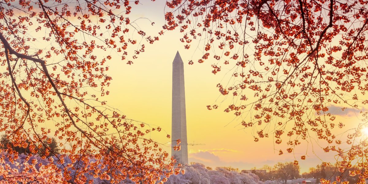 dc