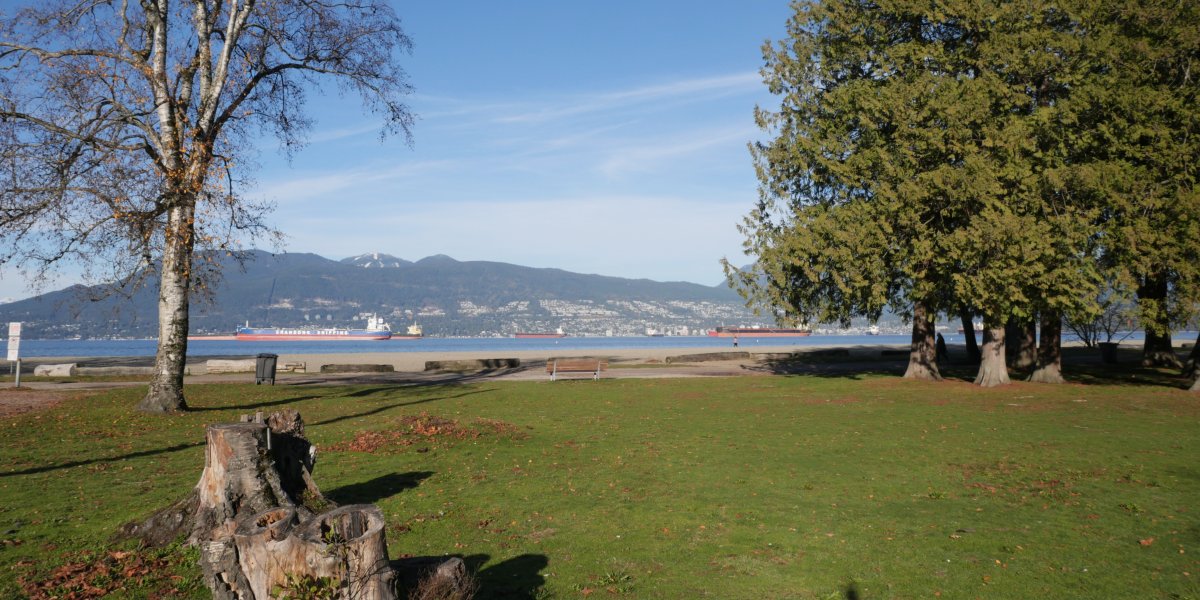 Jericho Beach Park trees and water