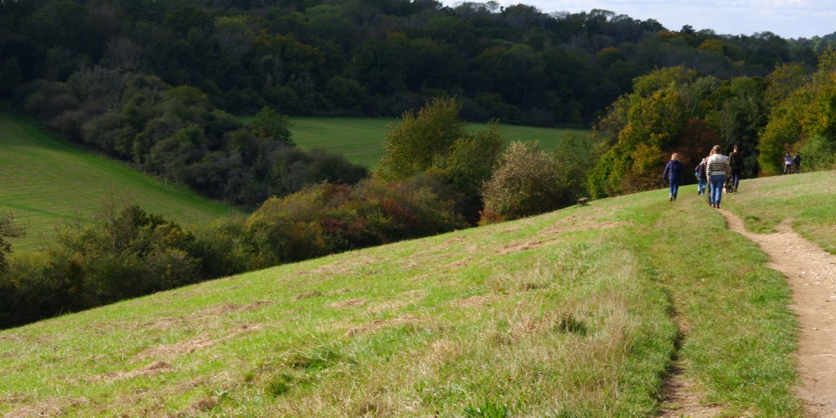 Rolling green hills and people walking