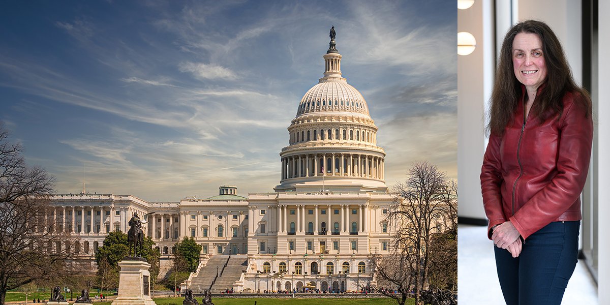 Photo of Capital Building and Professor Clare Bryant