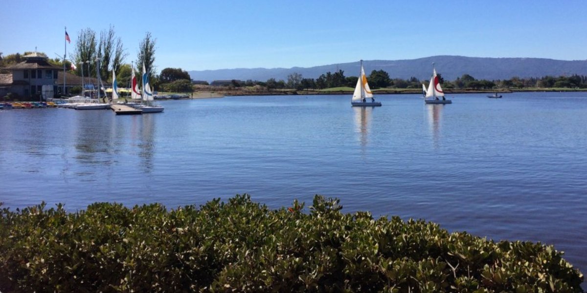 Shoreline Park water and boats