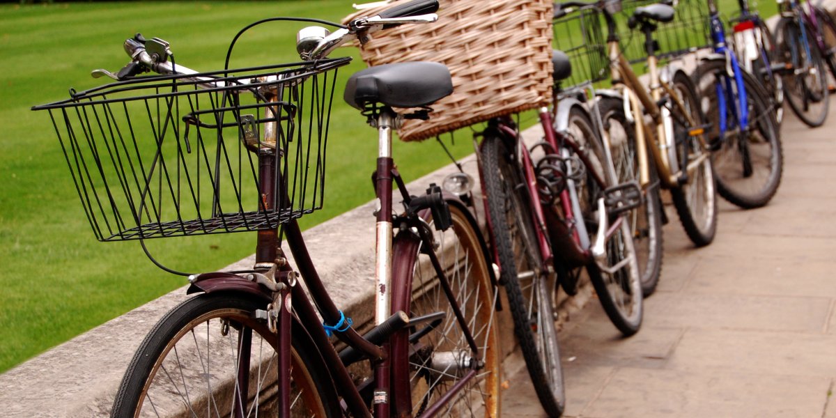 Row of bicycles